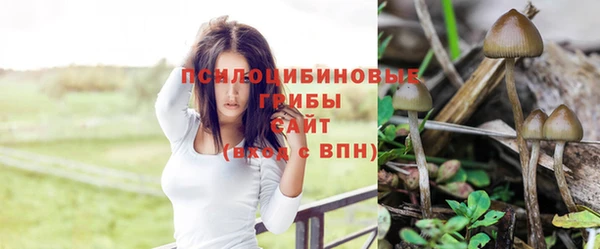 марки nbome Алексеевка
