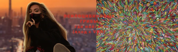 гидра Алексин
