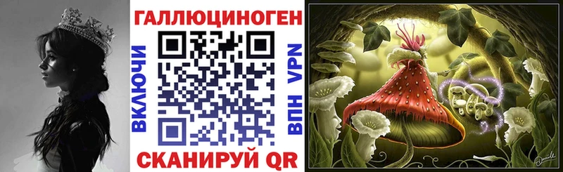 Псилоцибиновые грибы мицелий  OMG рабочий сайт  Данилов 